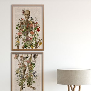 Full Human Skeleton two parts book page reproduction background,  Anatomy art, Wall art, Gift for doctor, SKA265