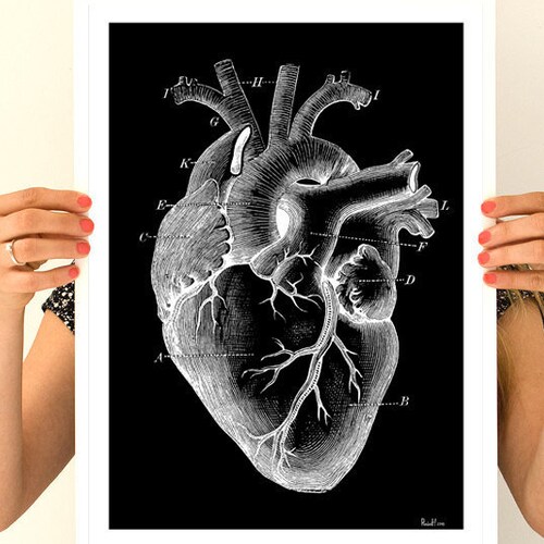 Medical Art Medical Printable Set of 8 Heart Print Lung | Etsy