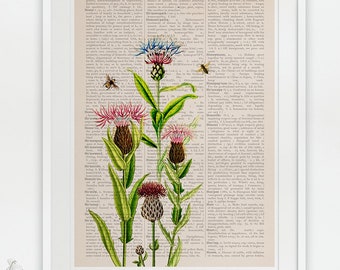 Large wall Art - Wall hanging art - Bees with cardoon flowers Print - Housewarming Gift - Book Page Art - Flower Book Print - BFL231PA3