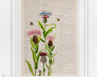 Bees and Cardoon Flowers Art Print: Reproduction Book Page Background