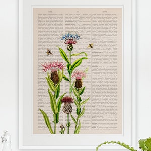 Bees and Cardoon Flowers Art Print: Reproduction Book Page Background