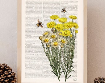 Wildflower & Bees Art Print: Upcycled Book Page, Yellow Floral