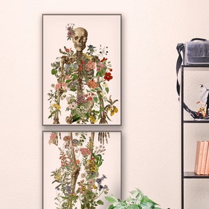 Skeleton Art Large wall art Neutral Tones Art Flowers Art Wall Decor Skeleton Dark Art Medical Art SKA288 image 2