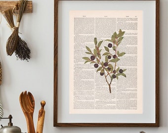Blue Berry Branch Botanical Print: Vintage Book Page Wall Art