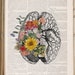 see more listings in the ANATOMIE ET SCIENCE section