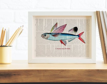 Ocean Wall Art,  Hawaiian Flying Fish, Wall Art, Bathroom Art, Print on Book page, sea animal, Hawaian Art, fish art, tropical art SEA070