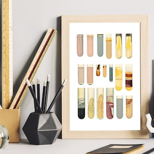 Test Tube Collection Art Print: Science Decor