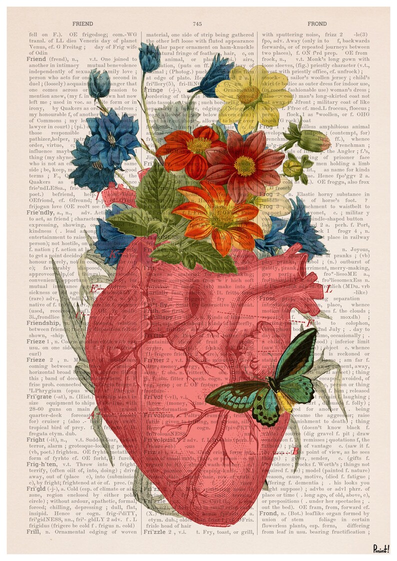 Human Anatomy print anatomy art wall art wall decor Etsy