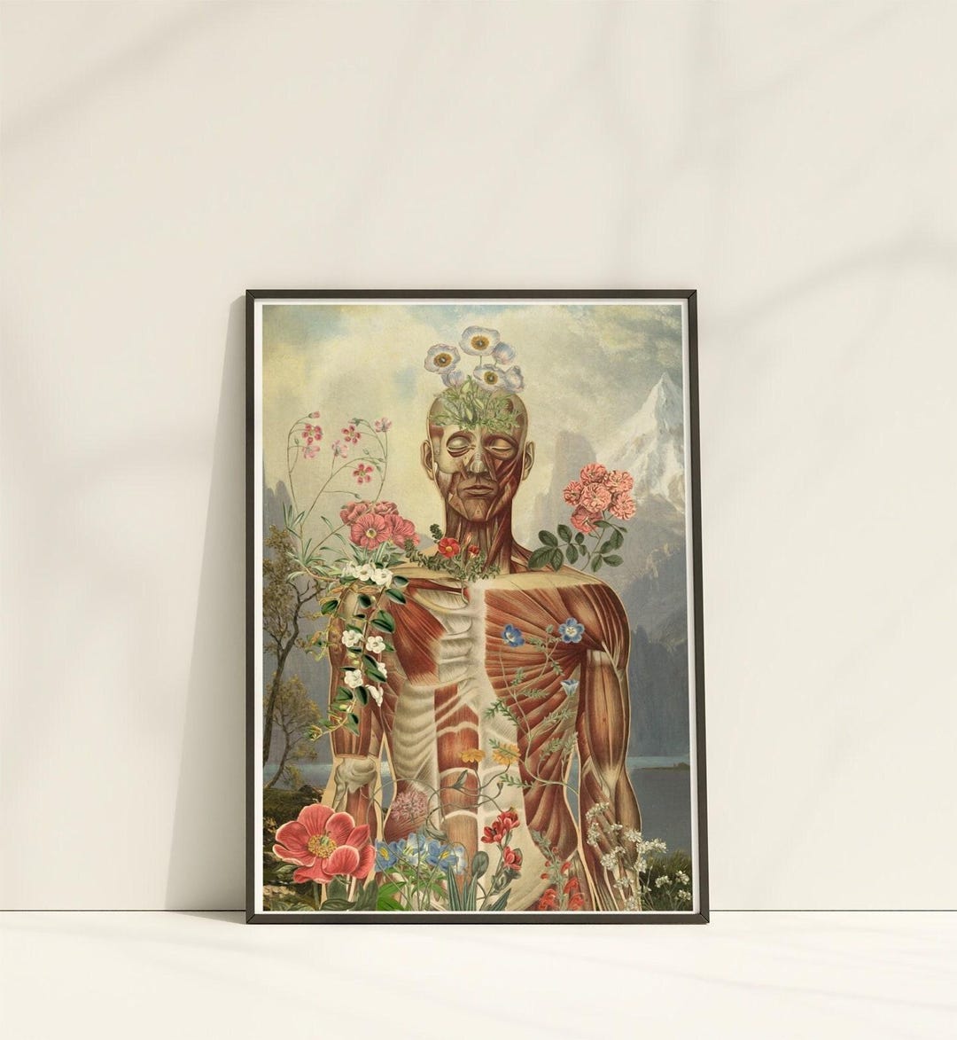 Muscular System Anatomy Art Print: Yoga, Physical Therapy Poster - Etsy