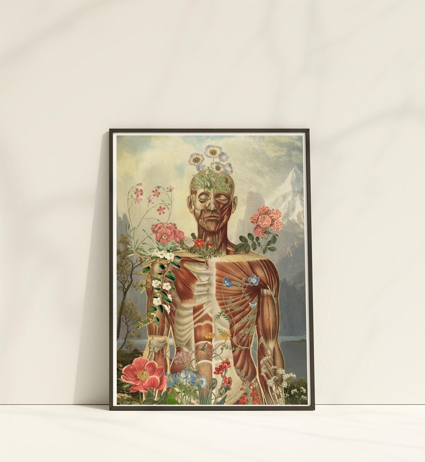 Muscular System Anatomy Art Print: Yoga, Physical Therapy Poster - Etsy