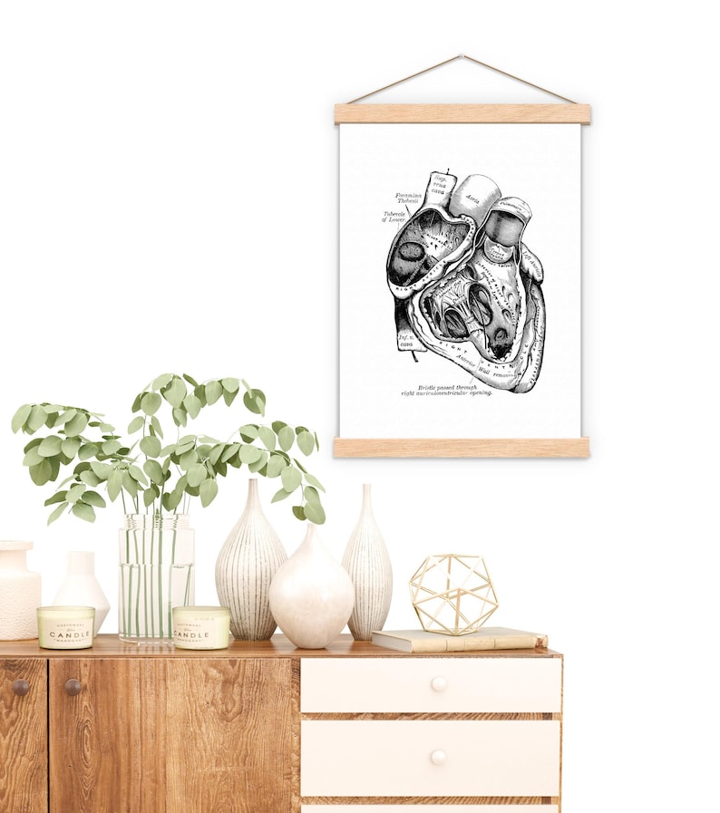 Wall art print, Human Anatomy Heart in black, Anatomical heart wall art, Doctor office gift, SKA039