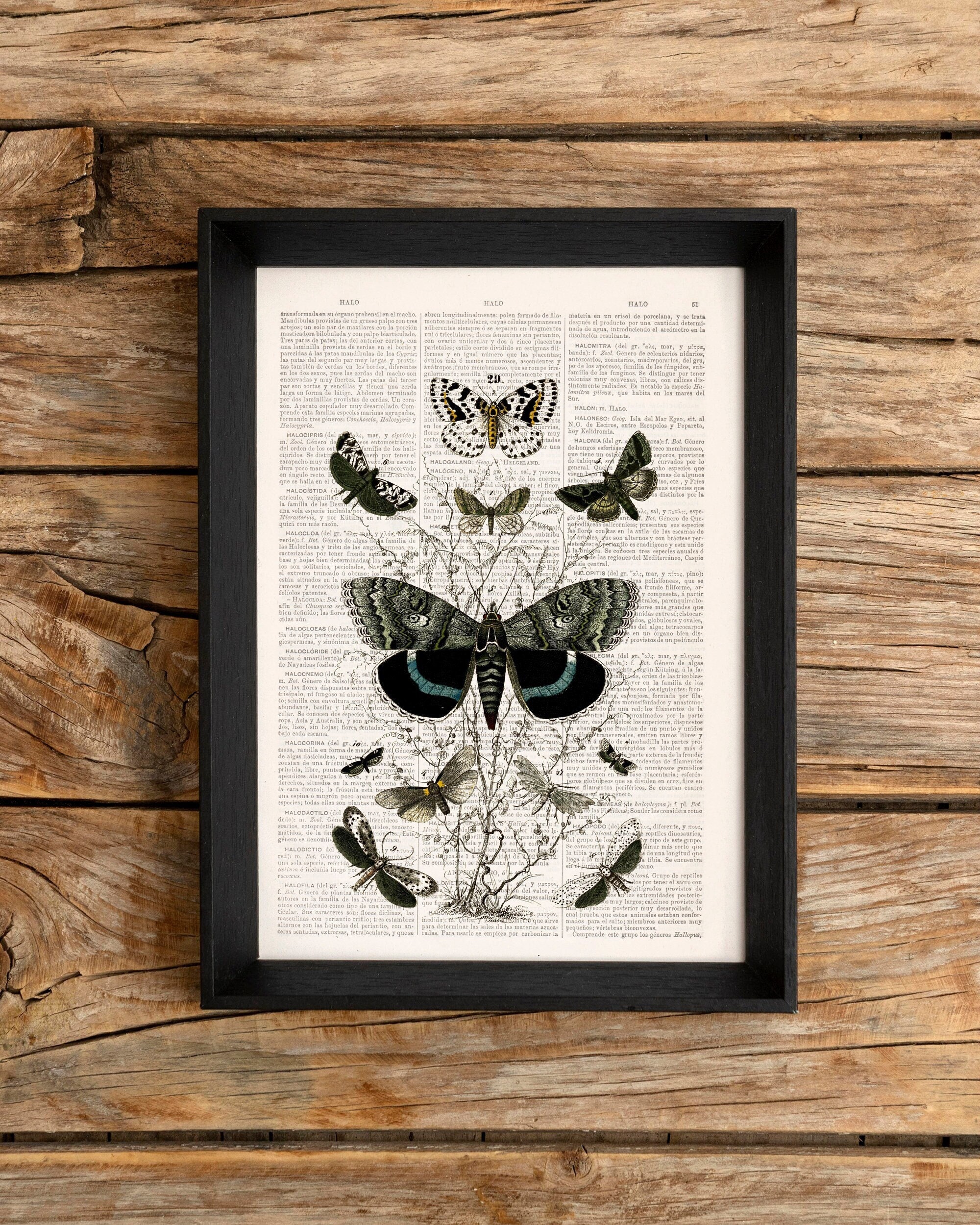 Cruz del Mar Fino Sherry, image size:2000x2499