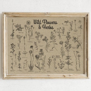Natuurlijke achtergrond Wilde bloemen en kruiden Poster - Apotheker Esthetisch - Botanische Muurkunst - Botanische Kunst - Bloemenkaart