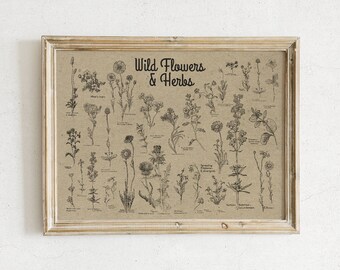 Natural background Wild  Flowers and Herbs Poster -  Apothecary Aesthetic - Botanical Wall Art - Botanical  Art - Flower Chart