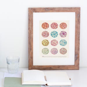 Microbiology poster, Bacteria Collection, Science Art, Science student gift, microbiology, biology art, science decor, science gift, SKA269
