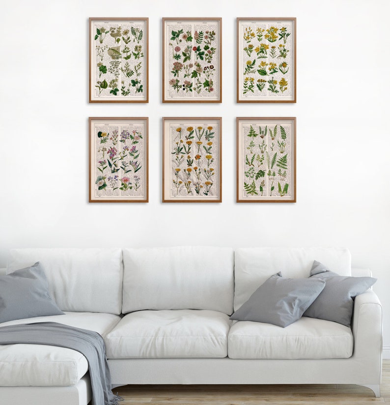 Peut inclure: Ensemble de six estampes botaniques repr&eacute;sentant diff&eacute;rentes fleurs et foug&egrave;res. Les estampes sont encadr&eacute;es de bois brun et dispos&eacute;es en grille sur un mur blanc.