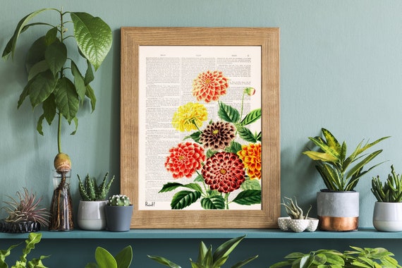 Home Decor Botanical Wall Art Dahlia Wall Art Flower Wall Art Housewarming  Gift Flower Print BFL081 - Etsy Sweden