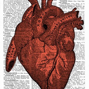 Art Prints , Psychedelic Art, Art print, Gift for him, Dictionary Page Art, Anatomical Heart, Doctor gift, Office unique gift, SKA032A image 3