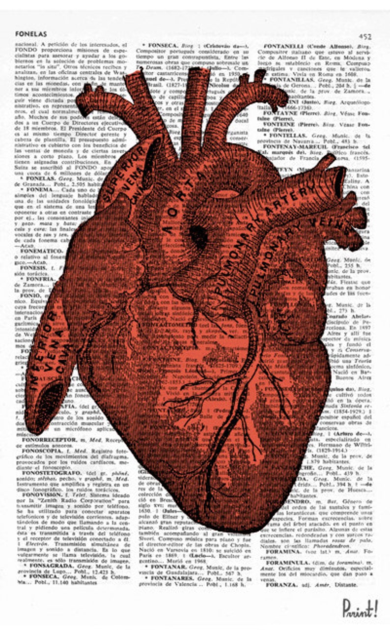 Art Prints , Psychedelic Art, Art print, Gift for him, Dictionary Page Art, Anatomical Heart, Doctor gift, Office unique gift, SKA032A image 3
