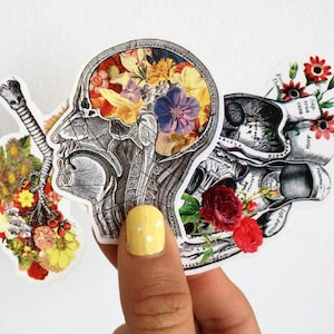 Human Anatomy Sticker Pack | Flowery Brain, Lungs & Heart Vinyl Decals | Medical Student Gift