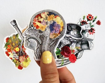 Human Anatomy Sticker Pack | Flowery Brain, Lungs & Heart Vinyl Decals | Medical Student Gift