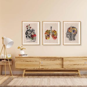 Pre christmas sale - Wall decor Anatomical Art Poster - Set of 3 - Flower Anatomy - Botanical Anatomy Print - Medical Art Print office decor