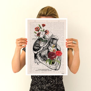 Heart with Roses Art Wall art print Anatomy Illustration Love Wall Art Anatomical Heart SKA080 A3 Poster 11.7x16.5 inches