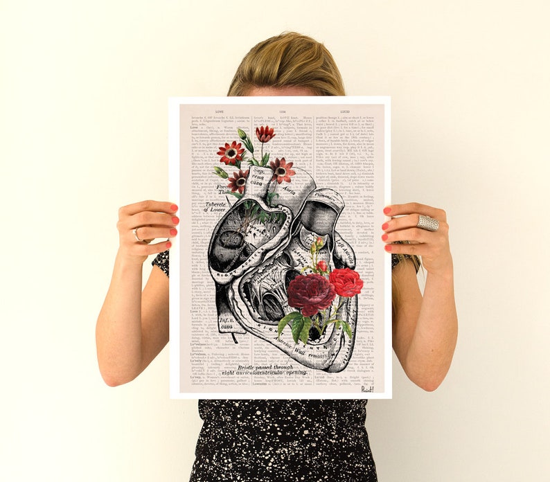 Heart with Roses Art Wall art print Anatomy Illustration Love Wall Art Anatomical Heart SKA080 A3 Poster 11.7x16.5 inches