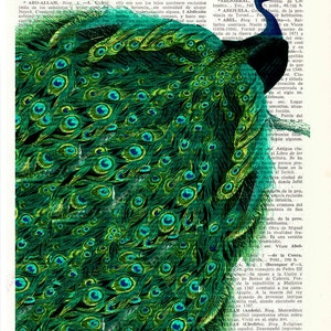 Beautiful Peacock with endless tail wall ,Housewarming art for New home, Emerald green Wall Art, ANI149 image 5