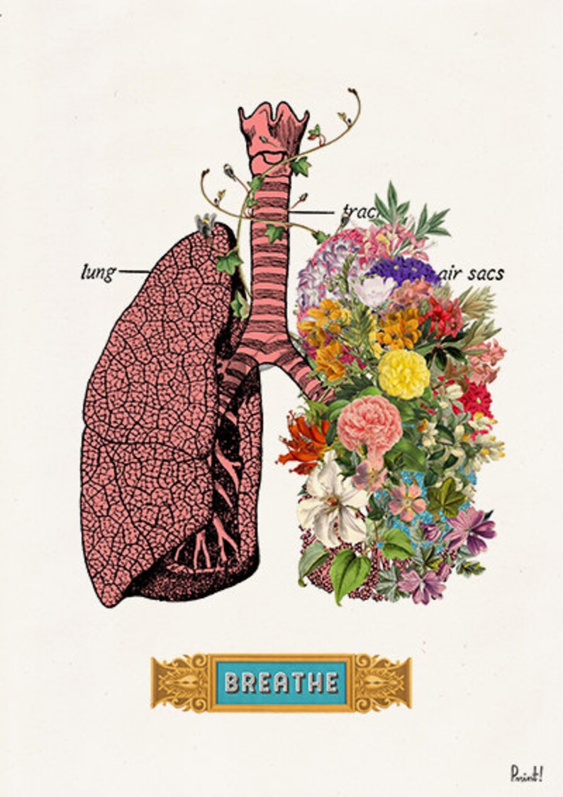 Human Pink Lungs and heart with flowers BREATH wall print Etsy