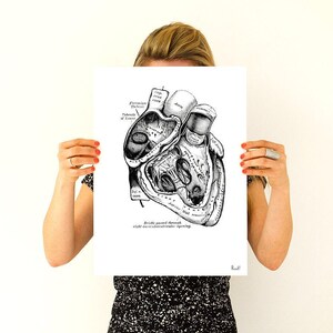 Wall art print, Human Anatomy Heart in black, Anatomical heart wall art, Doctor office gift, SKA039