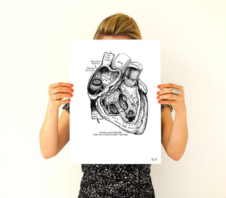 Wall art print, Human Anatomy Heart in black, Anatomical heart wall art, Doctor office gift, SKA039