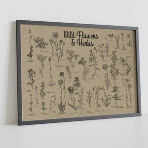 May include: A framed print on a beige background with black line drawings of various wild flowers and herbs. The title of the print is "Wild Flowers & Herbs".