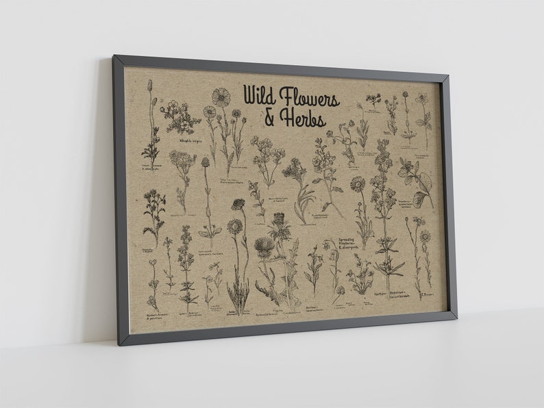May include: A framed print on a beige background with black line drawings of various wild flowers and herbs. The title of the print is "Wild Flowers & Herbs".
