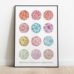 Microbiology poster, Bacteria Collection, Science Art, Science student gift, microbiology, biology art, science decor, science gift, SKA269