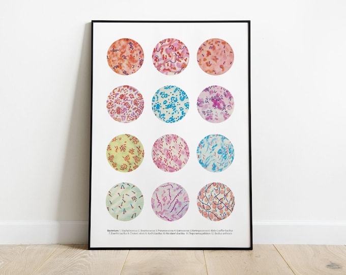 Microbiology Art Print | Vintage Bacteria Collection Poster | Educational Science Gift for Student or Lab Tech | Laboratory Wall Decor