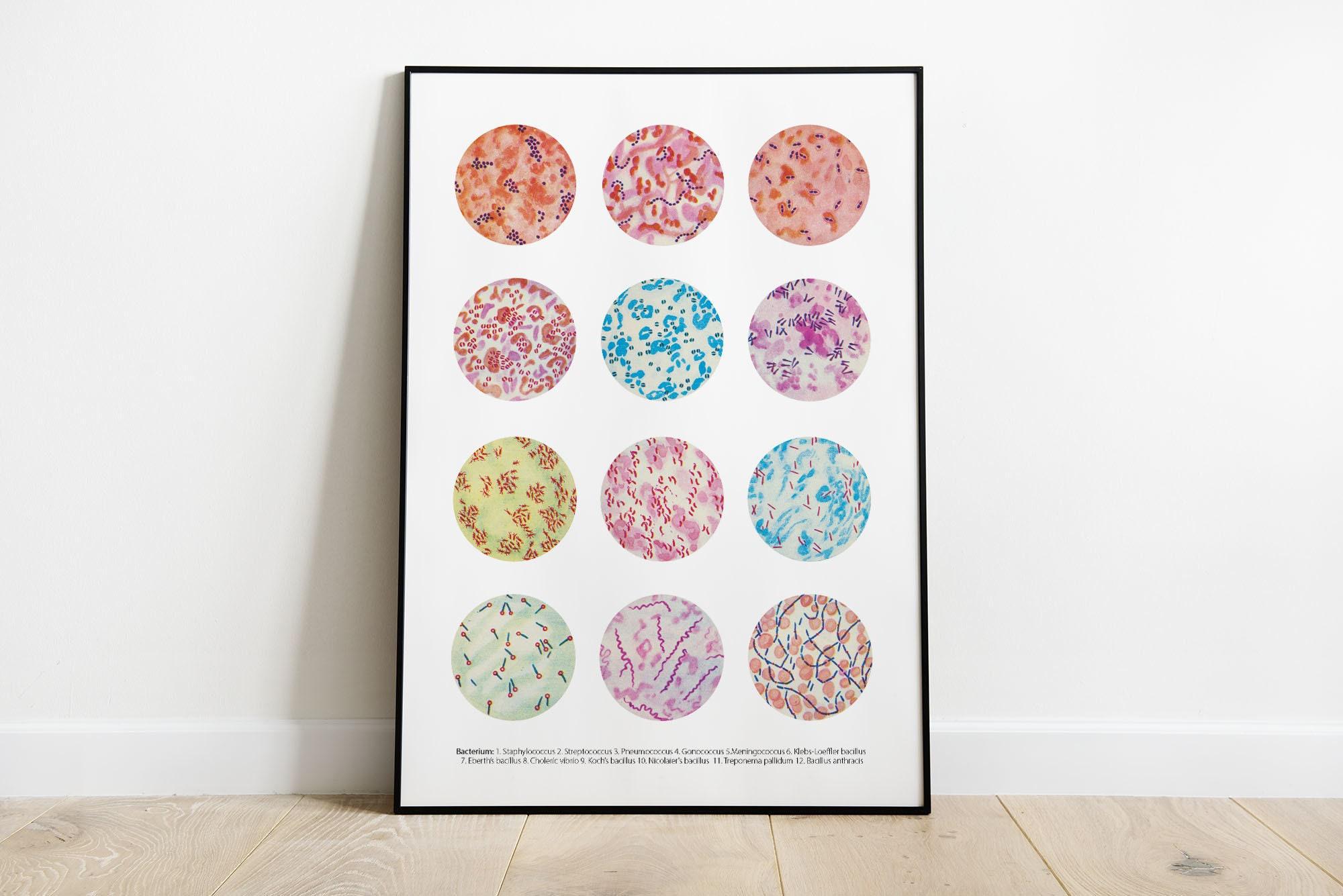 Microbiology poster, Bacteria Collection, Science Art, Science student gift, microbiology, biology art, science decor, science gift, SKA269