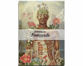 Doctors Gift - Notecard Set - Human Anatomical Postcards Set - Skeleton Flower Anatomy - Flower Lungs - Art gift set - PSC005