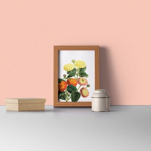 May include: A framed botanical illustration of a cluster of yellow, orange, and pink flowers with green leaves. The frame is made of wood and has a light brown finish.