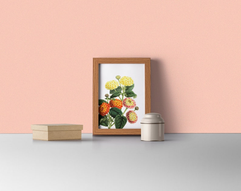 May include: A framed botanical illustration of a cluster of yellow, orange, and pink flowers with green leaves. The frame is made of wood and has a light brown finish.