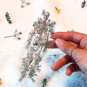 Floral Skeleton Clear Sticker: Anatomy Laptop Decal