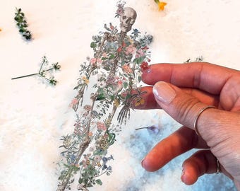 Floral Skeleton Clear Sticker: Anatomy Laptop Decal
