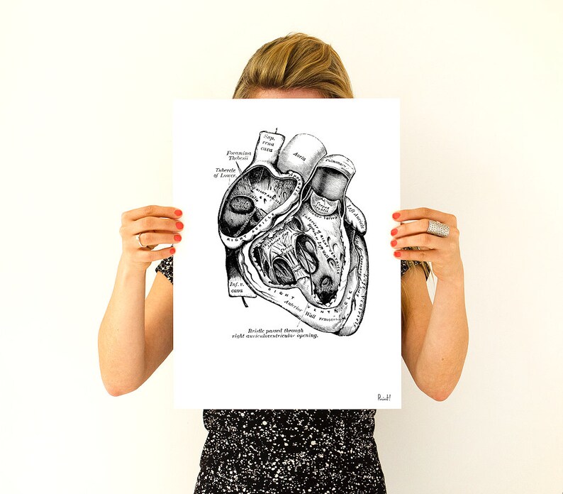 Wall art print, Human Anatomy Heart in black, Anatomical heart wall art, Doctor office gift, SKA039 image 7