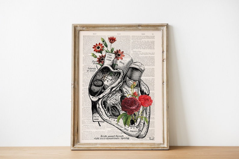 Heart with Roses Art Wall art print Anatomy Illustration Love Wall Art Anatomical Heart SKA080 image 1