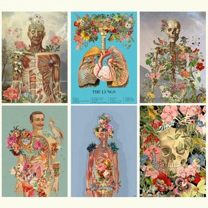 Lot de six cartes d'anatomie inhabituelles - cartes postales d'anatomie - oeuvre d'art unique de l'anatomie humaine - fleurs squelette - PSC005