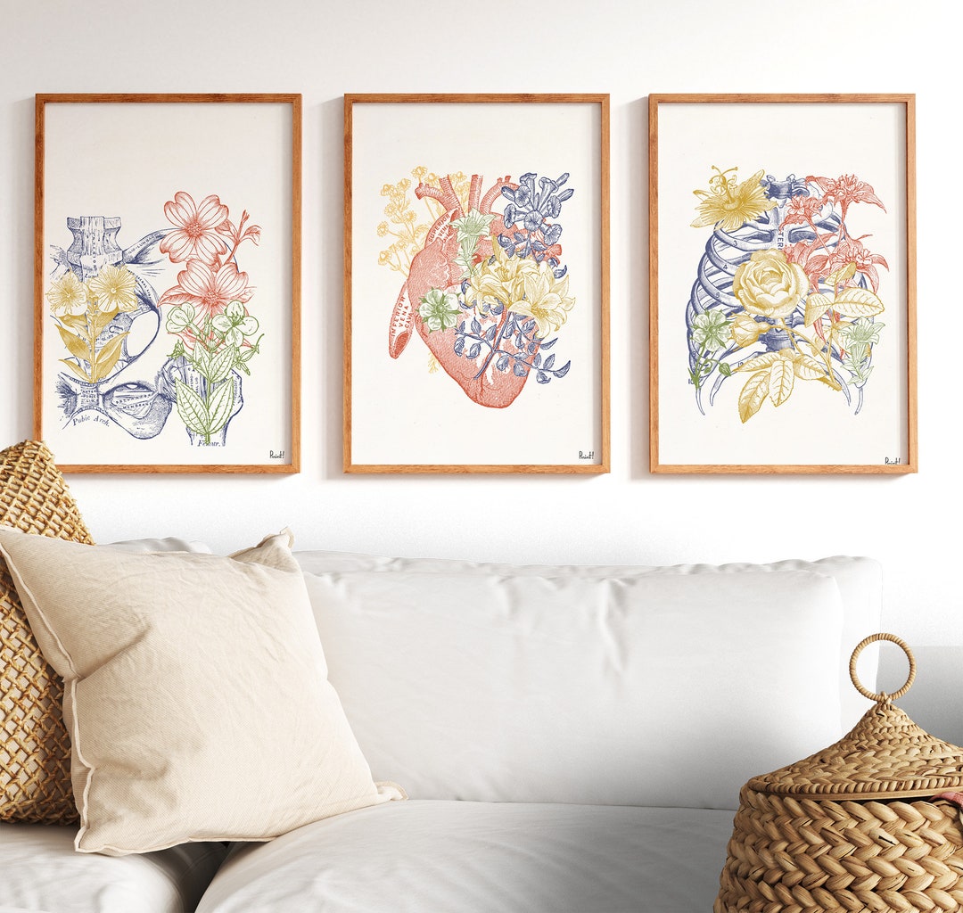 Delicate Floral Anatomy Art Prints Set of 3 | Botanical Medical Wall ...
