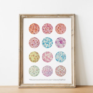 Microbiology poster, Bacteria Collection, Science Art, Science student gift, microbiology, biology art, science decor, science gift, SKA269