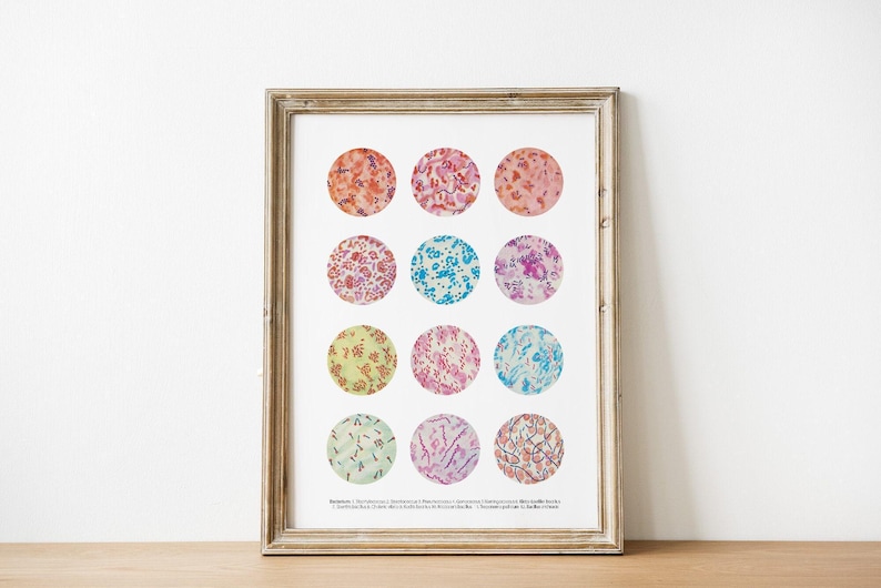 Microbiology poster, Bacteria Collection, Science Art, Science student gift, microbiology, biology art, science decor, science gift, SKA269
