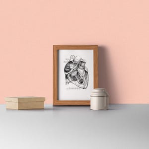 Wall art print, Human Anatomy Heart in black, Anatomical heart wall art, Doctor office gift, SKA039