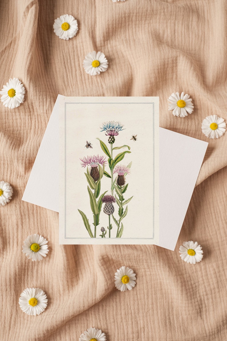 Floral Postcards set Bees and Lilac flowers Postcards Postcard Save the bees Cards Floral Greeting Card PSC008 Off white background